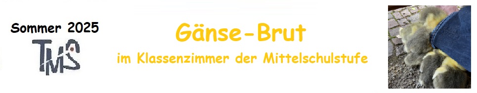 mehr dazu !